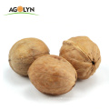 hand picking high quality Chinese xinjiang walnut with shell